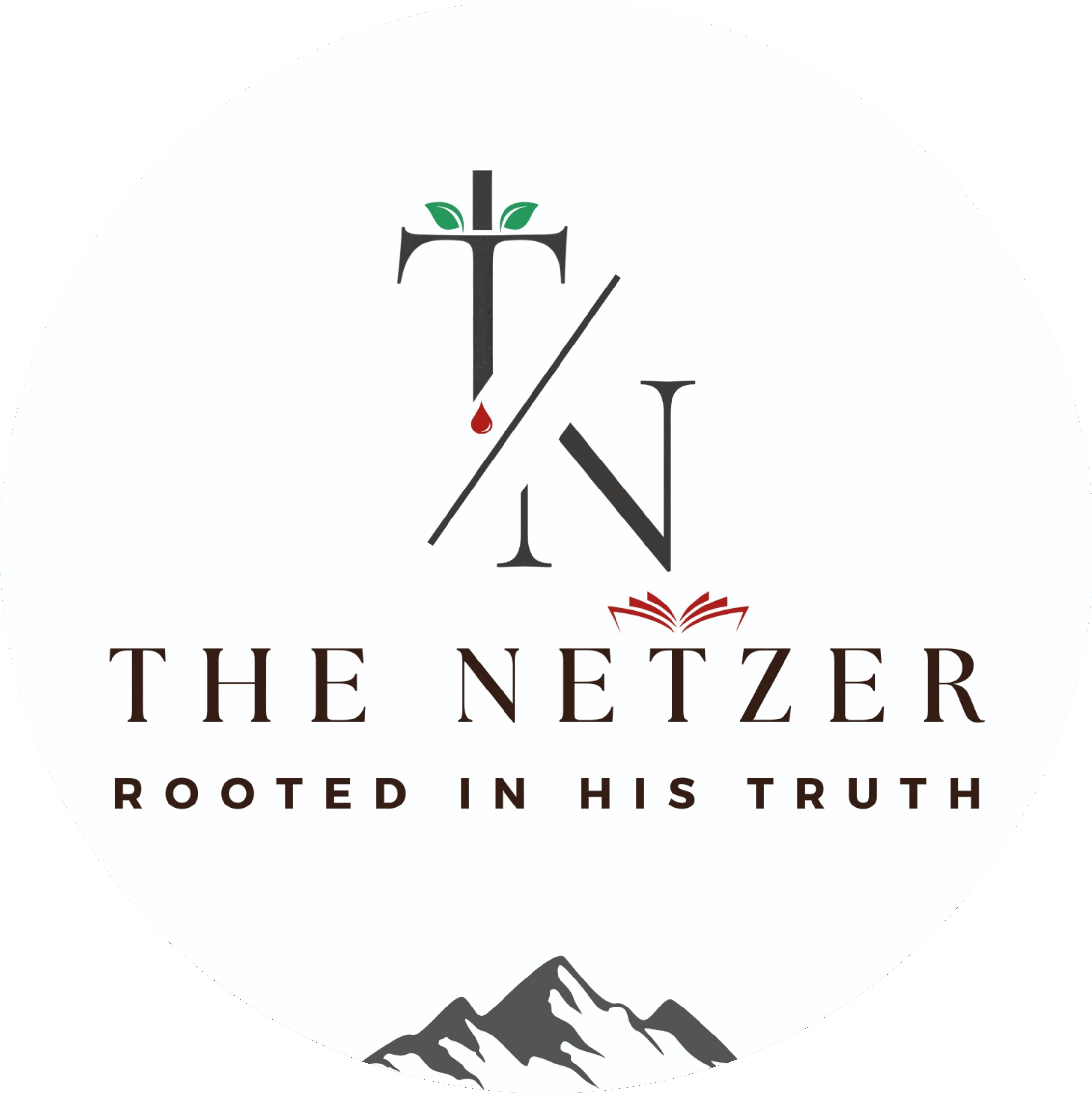 The Netzer Ministries