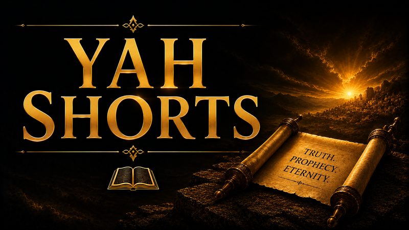 Yah விழுதுகள் (Shorts)